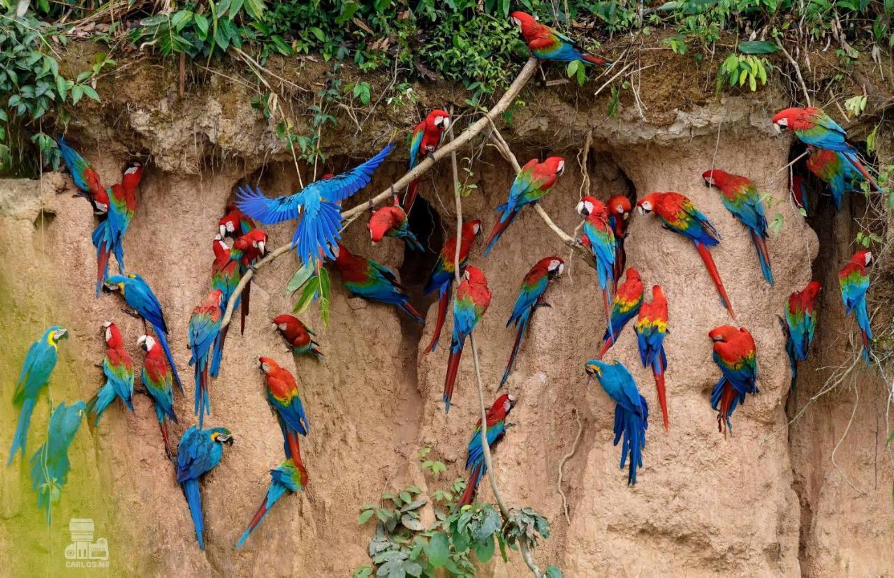 Monte Amazonico Lodge Tambopata Zewnętrze zdjęcie